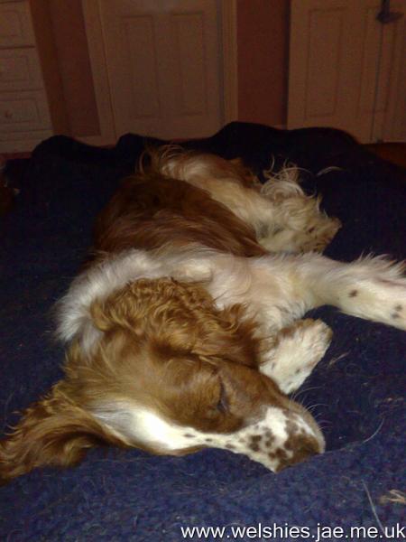 2010-02-13 04.jpg - So much for watching TV